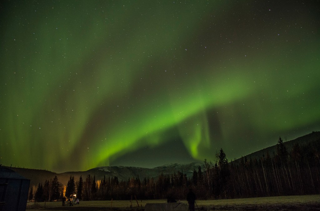 Northern lights illuminating the night sky over a forested landscape in Alaska.